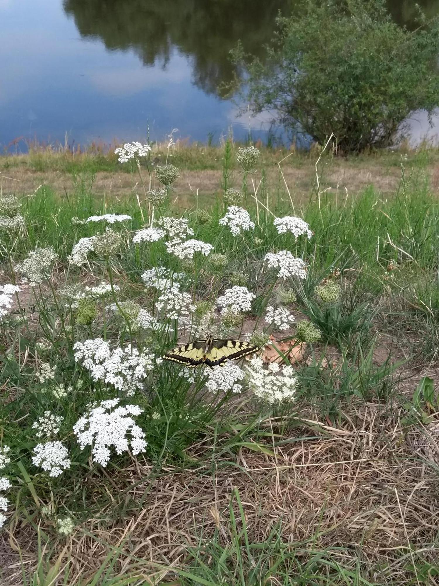Kroetenhof Barfoerde Barforde المظهر الخارجي الصورة